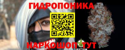 мдпв Будённовск