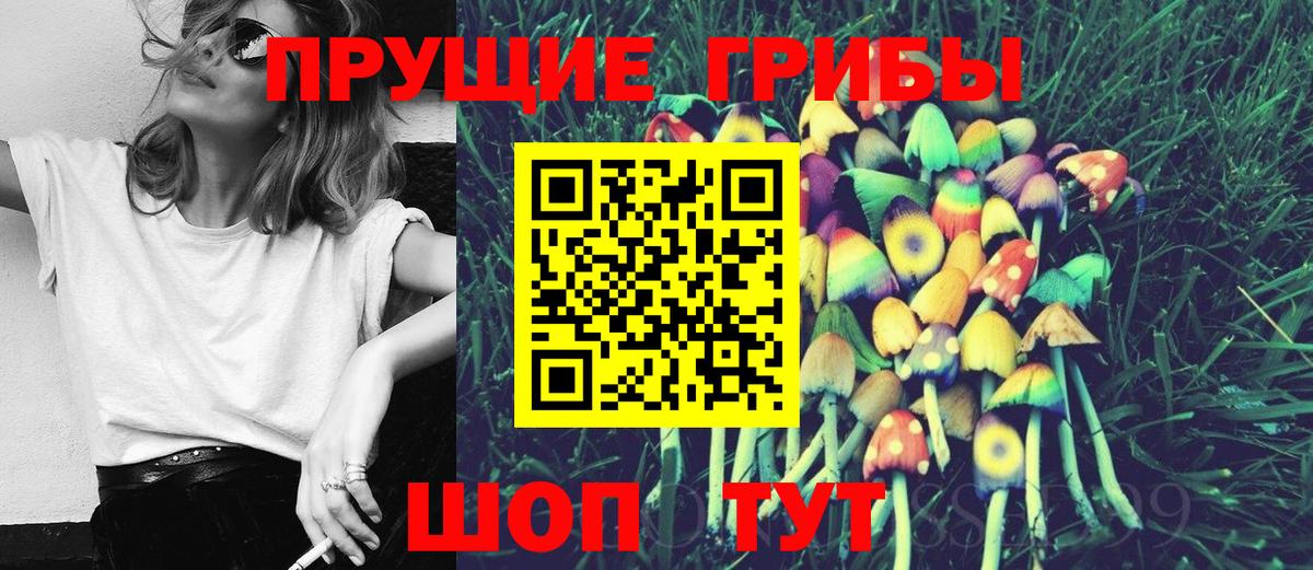 цена   Галлюциногенные грибы MAGIC MUSHROOMS  Ленинск-Кузнецкий  Вход с VPN  Галлюциногенные грибы мухоморы 