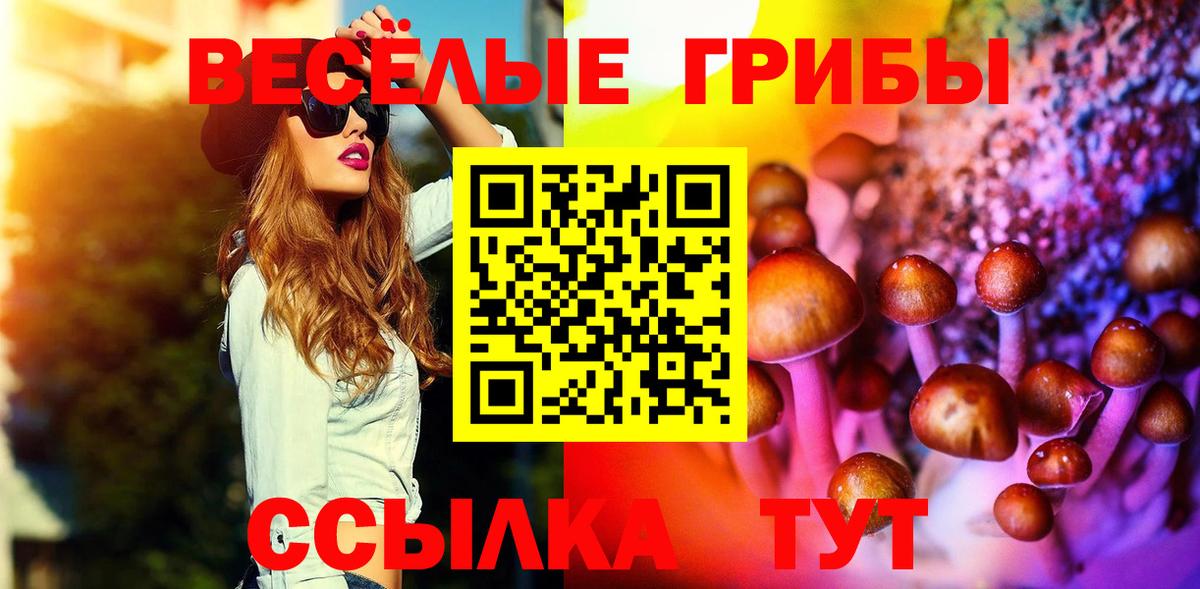 Галлюциногенные грибы MAGIC MUSHROOMS Ленинск-Кузнецкий