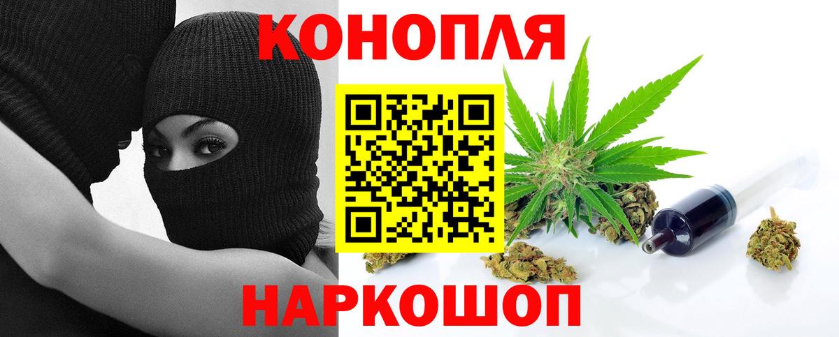 Шишки марихуана тримм Ленинск-Кузнецкий